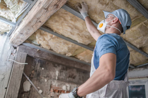 Best Insulation for Specific Applications in Cairo, NE